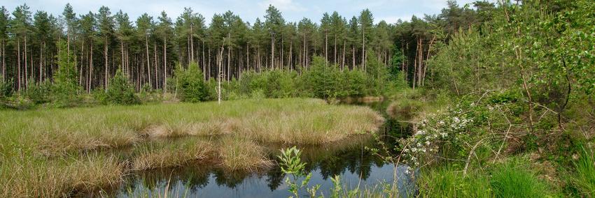 De nieuwe situatie op het terrein van De Zevenbergjes