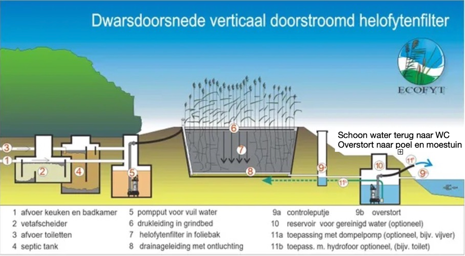 Schematische weergave van het helofytenfilter en de waterkringloop rondom het huis